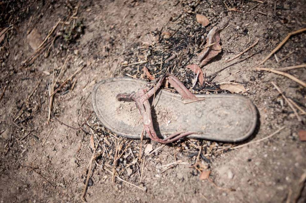A shoe lies in the rubble of the school. March, 2016. A shoe lies in the rubble of the school. March, 2016.