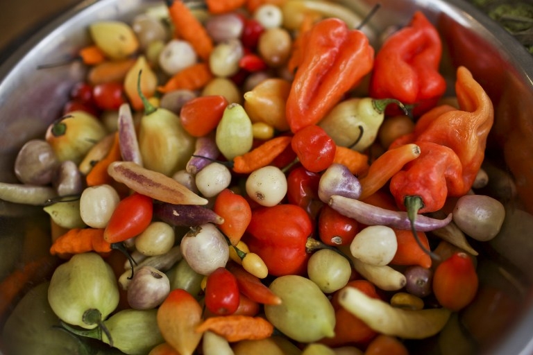 A variety of jungle chilis at the 2013 Mistura gastronomic fair in Lima A variety of jungle chilis at the 2013 Mistura gastronomic fair in Lima