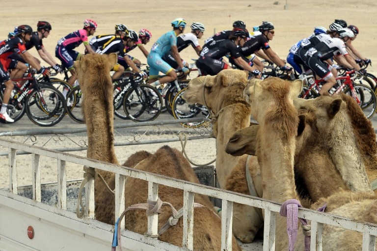 Cyclists ride past a truck carrying during the Tour of Qatar in February 2015 Cyclists ride past a truck carrying during the Tour of Qatar in February 2015