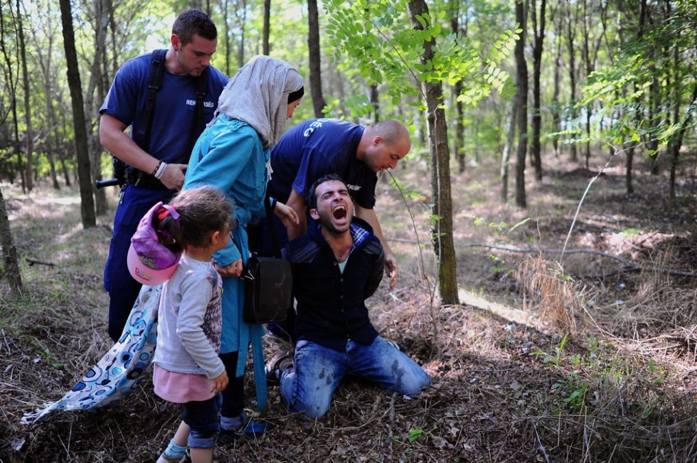 A refugee is arrested by the Hungarian police in front of his wife and daughter near the village of Roszke after crossing the Serbian border on August 28, 2015 A refugee is arrested by the Hungarian police in front of his wife and daughter near the village of Roszke after crossing the Serbian border on August 28, 2015