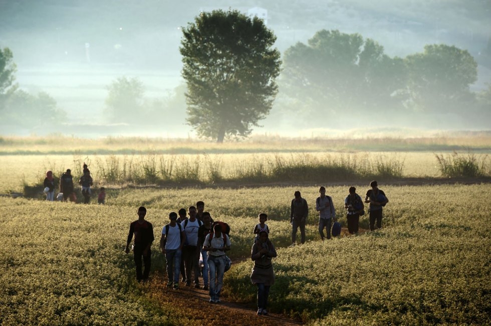 Migrants walk through a field to cross the border from Greece to Macedonia near the Greek village of Idomeni on August 29, 2015 Migrants walk through a field to cross the border from Greece to Macedonia near the Greek village of Idomeni on August 29, 2015