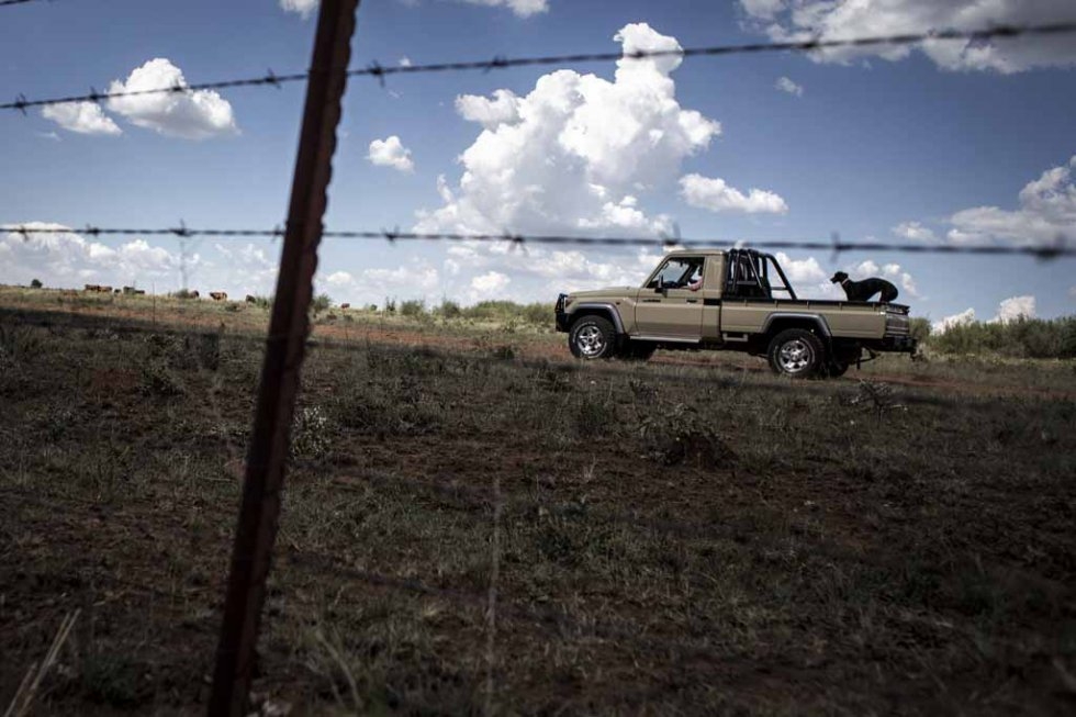 Kobus Dunnhauser drives out to his cattle. February 12, 2016. Kobus Dunnhauser drives out to his cattle. February 12, 2016.