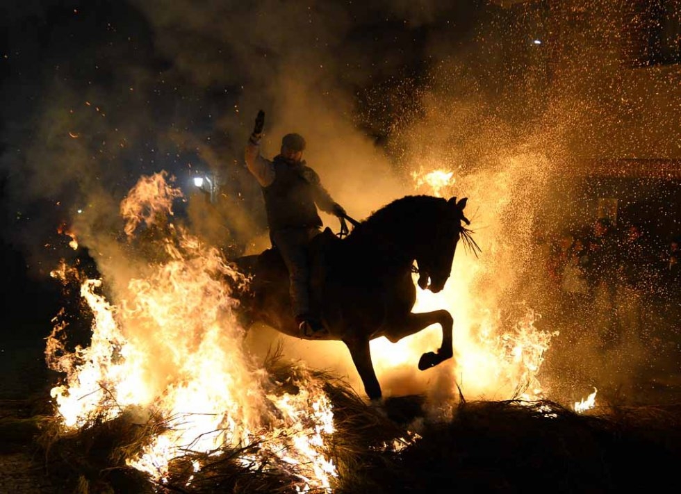 A rider guides his horse through flames during celebrations of the Feast of St. Anthony. A rider guides his horse through flames during celebrations of the Feast of St. Anthony.