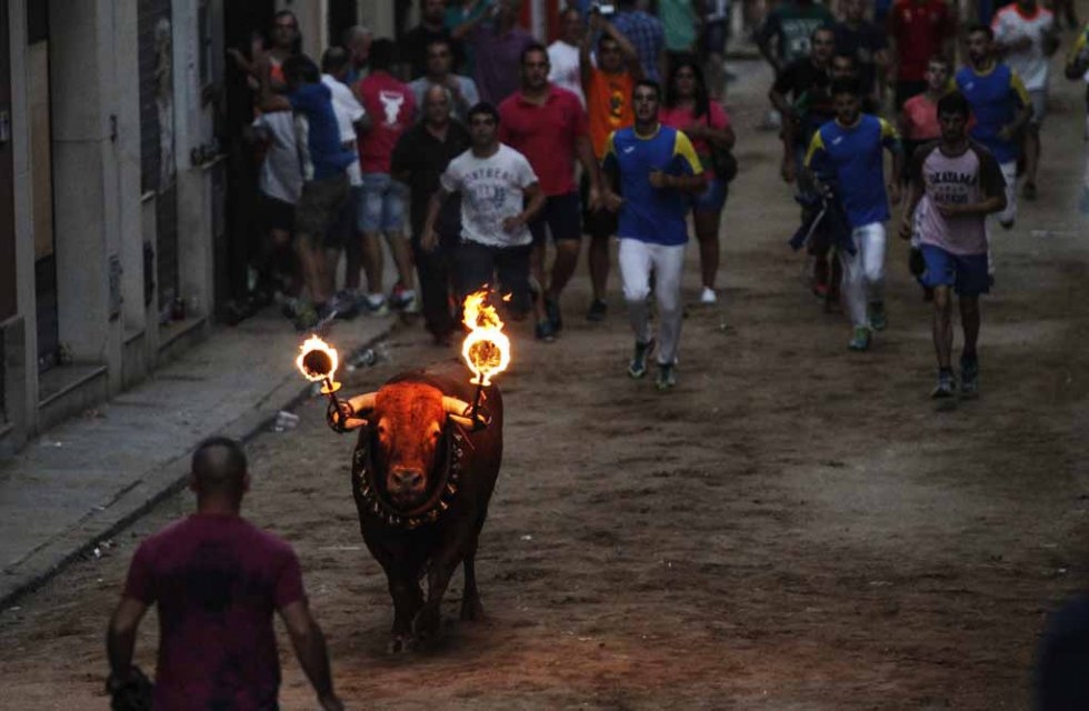 A bull charges through the streets of Meliana, near Valencia. A bull charges through the streets of Meliana, near Valencia.