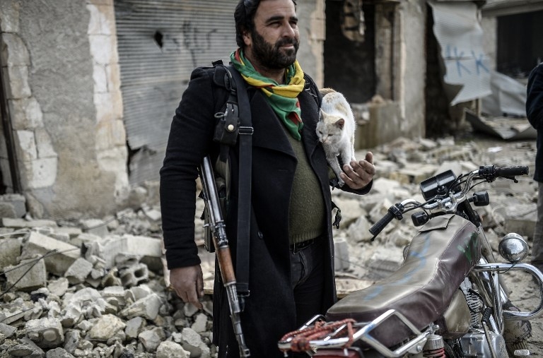 A Kurdish fighter holds a cat in Kobane, Syria on January 28, 2015 A Kurdish fighter holds a cat in Kobane, Syria on January 28, 2015