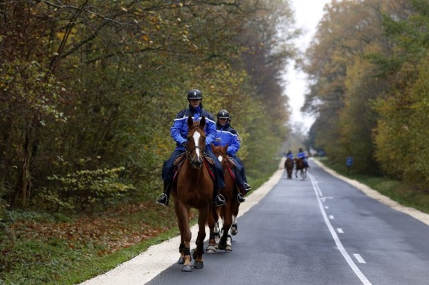 French mounted gendarmes search for the 'tiger' in the woods of Ferrieres-en-Brie French mounted gendarmes search for the 'tiger' in the woods of Ferrieres-en-Brie