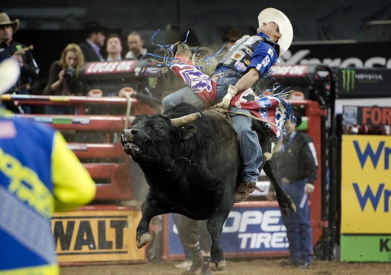 Billy Robinson rides 'Western Way' at the PBR Monster Energy Buck-Off on January 16, 2015 Billy Robinson rides 'Western Way' at the PBR Monster Energy Buck-Off on January 16, 2015
