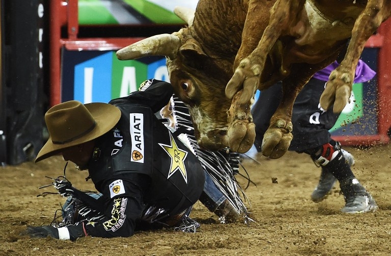 Joao Ricardo Vieira falls off 'Fun Size' at the PBR Monster Energy Buck -Off on January 16, 2015 Joao Ricardo Vieira falls off 'Fun Size' at the PBR Monster Energy Buck -Off on January 16, 2015