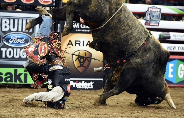 Chase Outlaw takes a fall off 'Lite Em Up' at the PBR Monster Energy Buck-Off on January 16, 2015 Chase Outlaw takes a fall off 'Lite Em Up' at the PBR Monster Energy Buck-Off on January 16, 2015