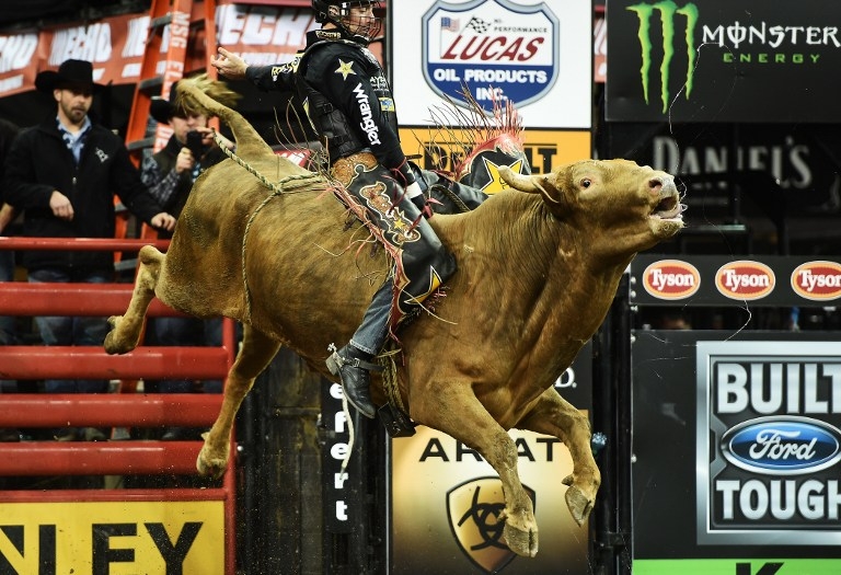 Sean Willingham rides 'Mr. U' at the PBR Monster Energy Buck-Off on January 16, 2015 Sean Willingham rides 'Mr. U' at the PBR Monster Energy Buck-Off on January 16, 2015