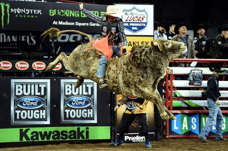 Jason Malone rides 'Cosmo' at the PBR Monster Energy Buck-Off on January 16, 2015 Jason Malone rides 'Cosmo' at the PBR Monster Energy Buck-Off on January 16, 2015