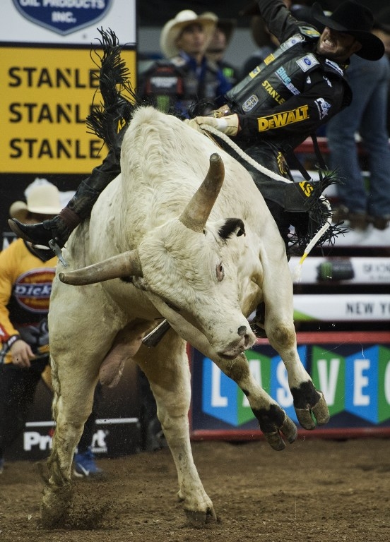 Douglas Duncan rides 'Botox' at the PBR Monster Energy Buck-Off on January 16, 2015 Douglas Duncan rides 'Botox' at the PBR Monster Energy Buck-Off on January 16, 2015