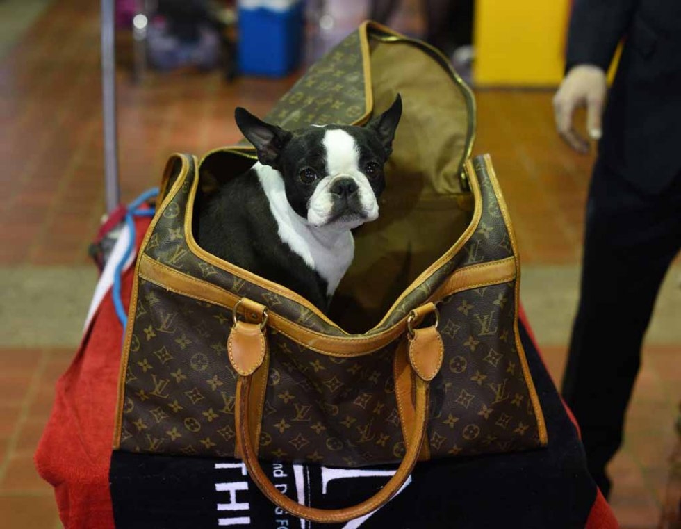 (AFP/Timothy A. Clary) (AFP/Timothy A. Clary)