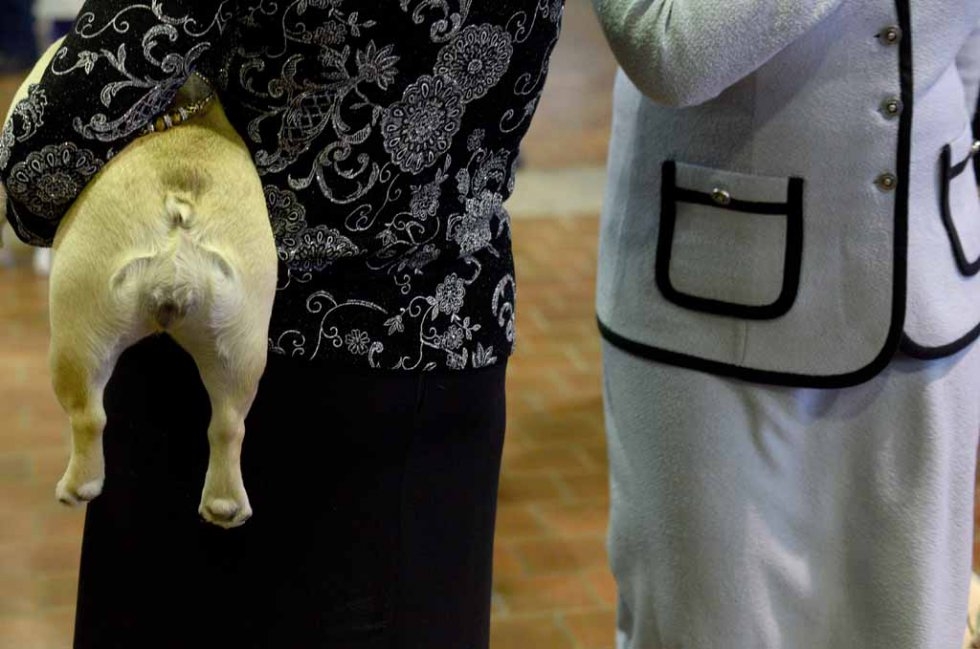 (AFP/Timothy A. Clary) (AFP/Timothy A. Clary)