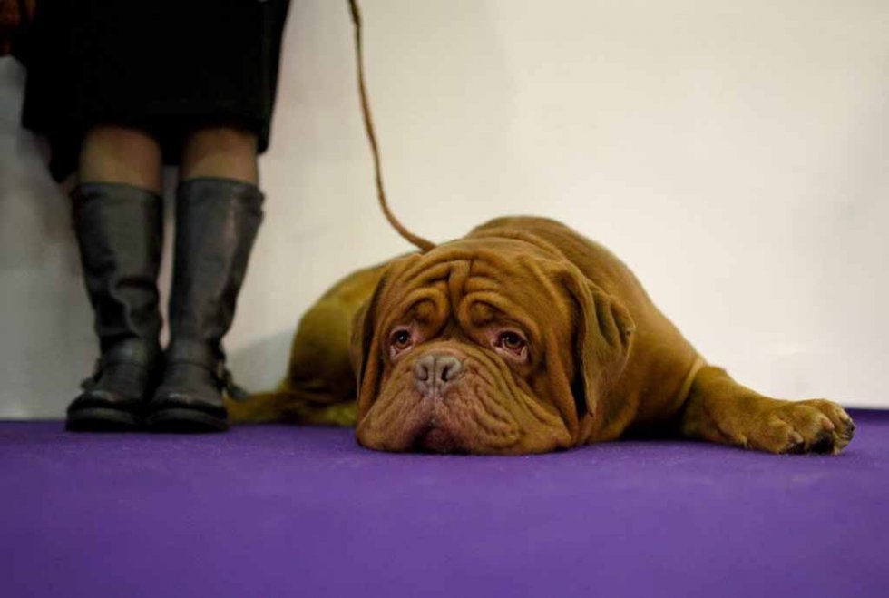 (AFP/Timothy A. Clary) (AFP/Timothy A. Clary)