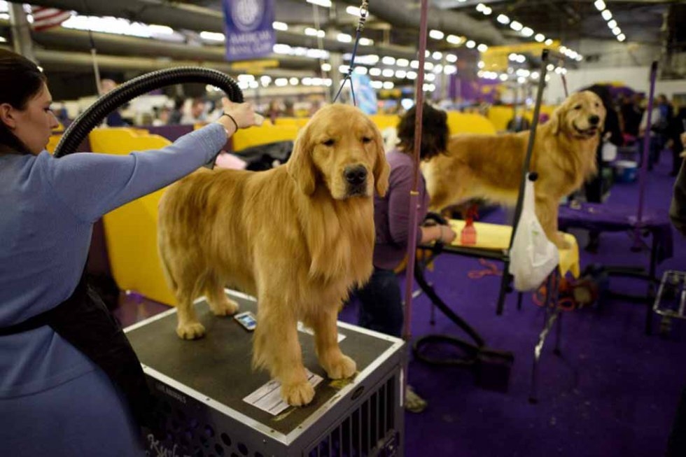 (AFP/Timothy A. Clary) (AFP/Timothy A. Clary)