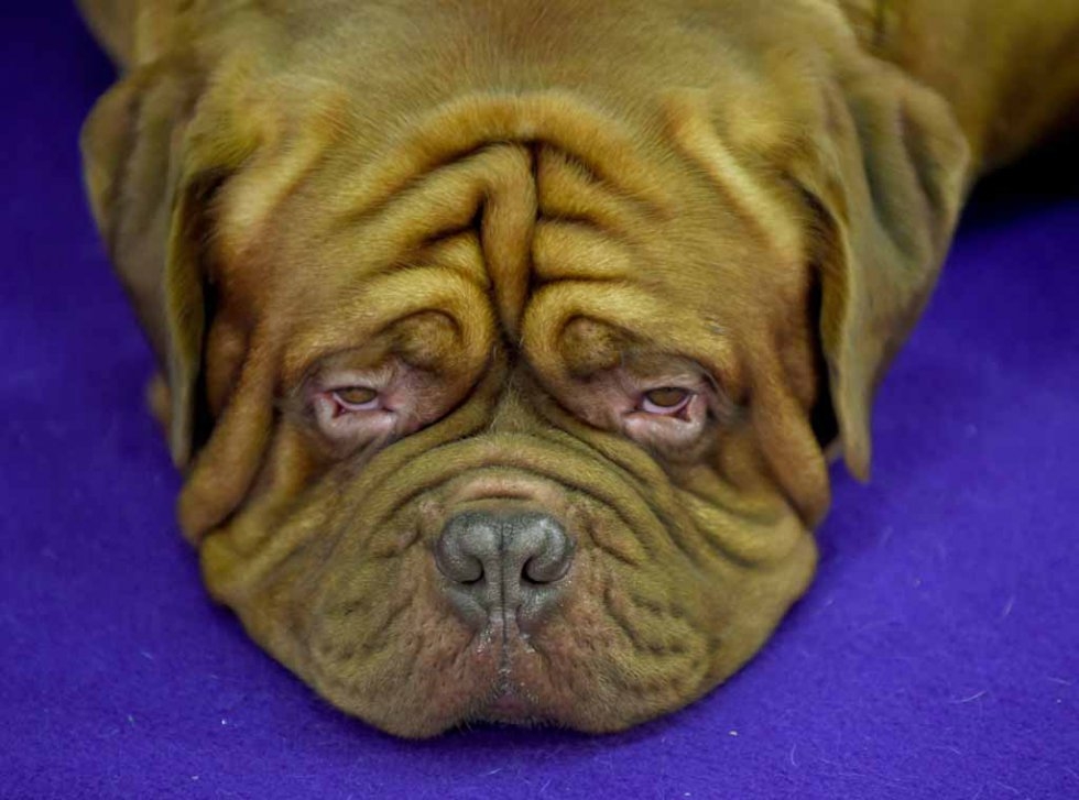 (AFP/Timothy A. Clary) (AFP/Timothy A. Clary)