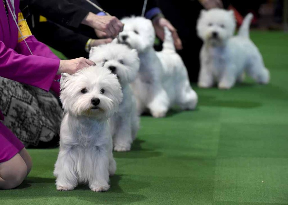 (AFP/Timothy A. Clary) (AFP/Timothy A. Clary)