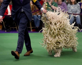 (AFP/Timothy A. Clary)