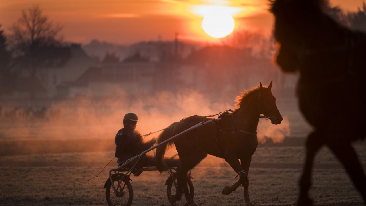 An equine paradise Correspondent