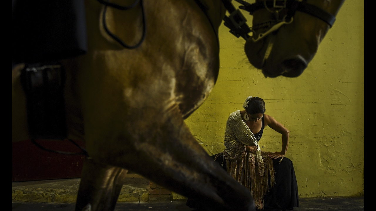 The women photographers series: Patricia de Melo Moreira